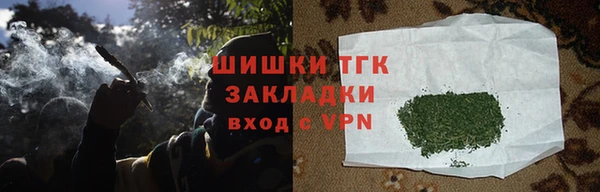 ГАЛЛЮЦИНОГЕННЫЕ ГРИБЫ Алзамай