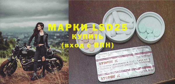 ГАЛЛЮЦИНОГЕННЫЕ ГРИБЫ Алзамай