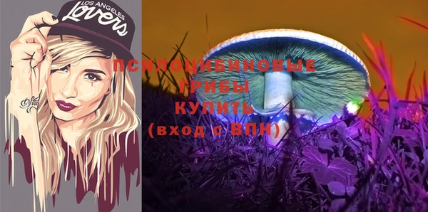 ГАЛЛЮЦИНОГЕННЫЕ ГРИБЫ Алзамай