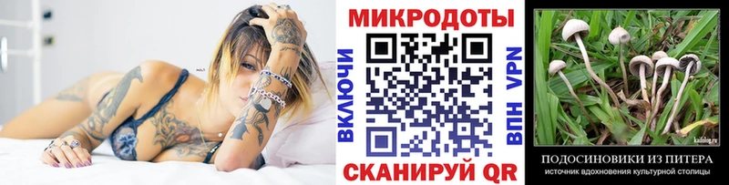 Псилоцибиновые грибы мухоморы Бакал