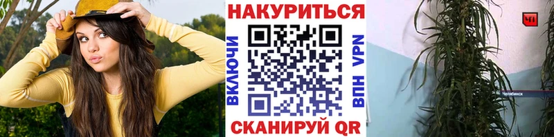 Марихуана OG Kush  что такое наркотик  Бакал 